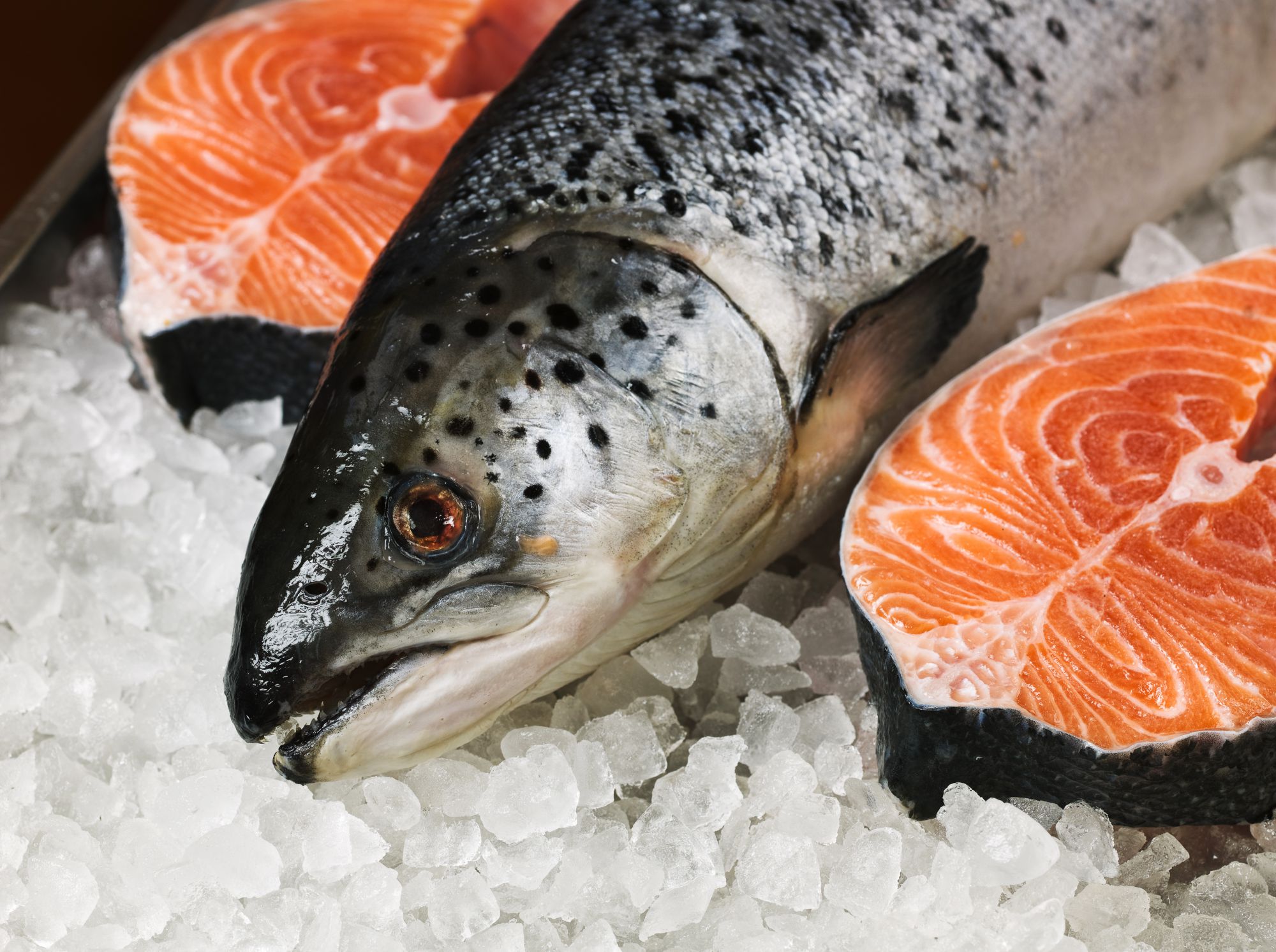 Market Fresh Seafood Delivery to Your Door in Australia