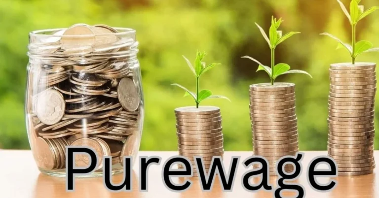 Purewage: How This Innovative Business is Revolutionizing the Way We Work